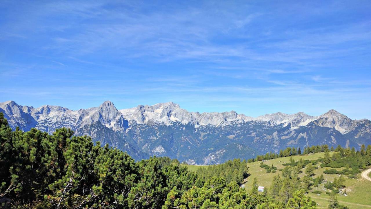 Ferienbungalow Mountain View Wood Spital Am Pyhrn Buitenkant foto
